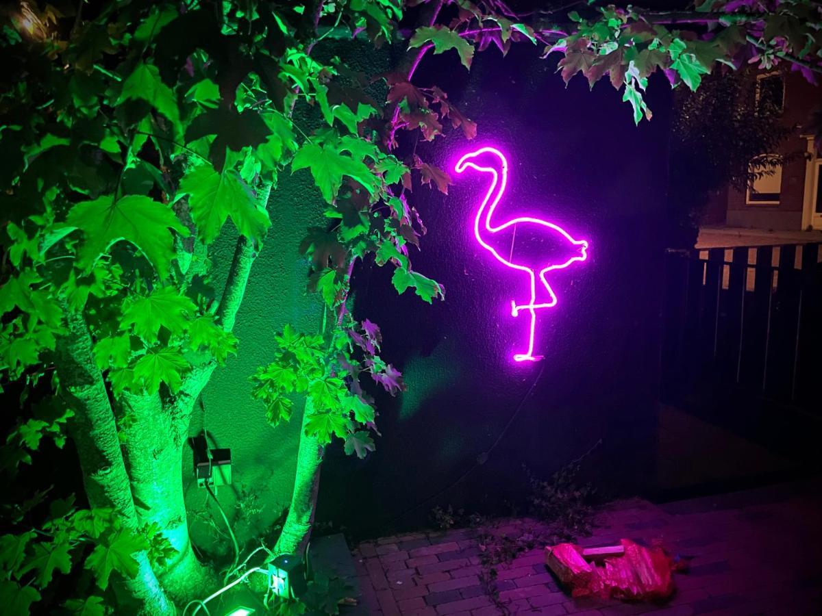 Flamingo Studio'S Zeeland Schoondijke ภายนอก รูปภาพ