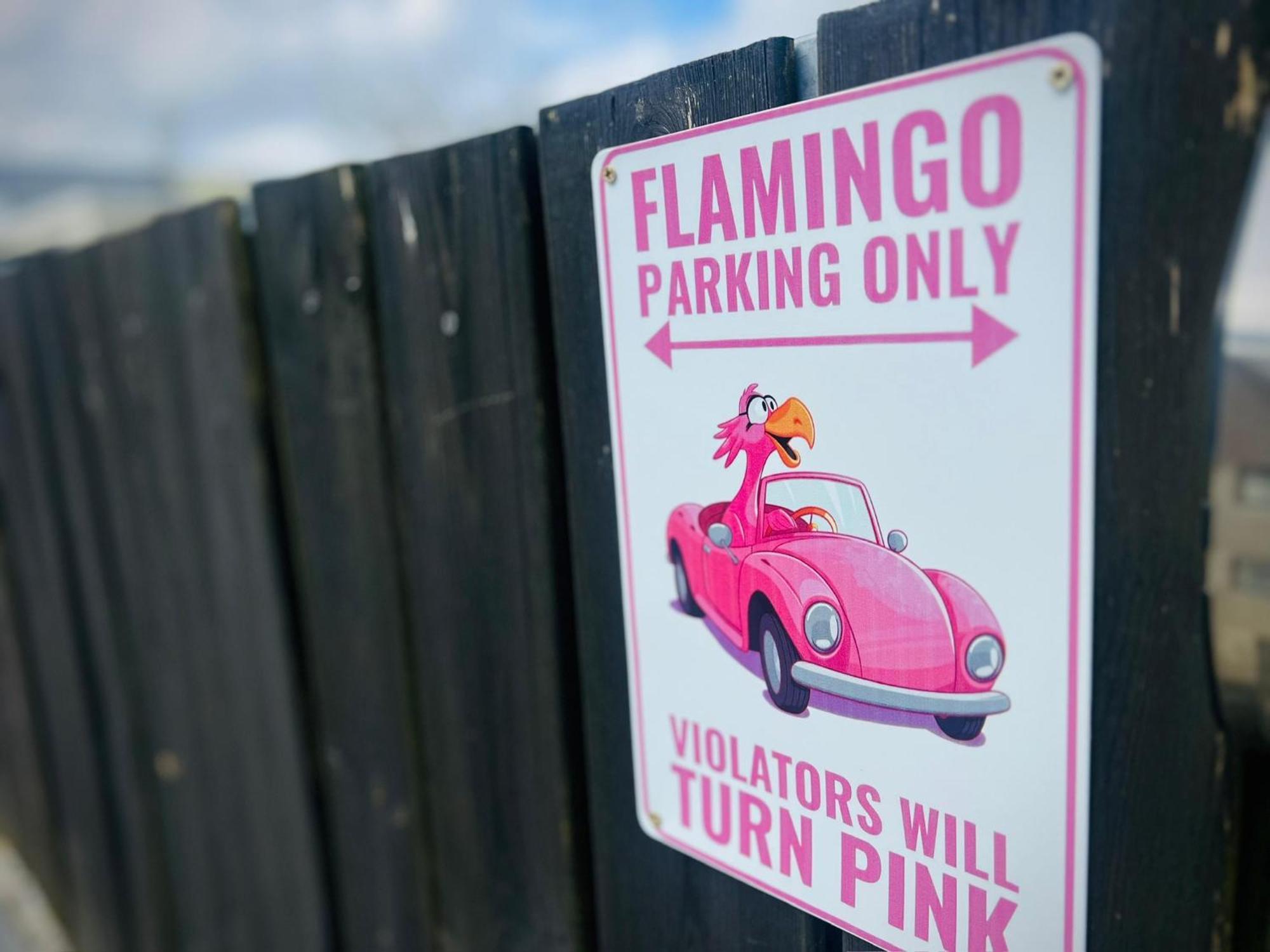 Flamingo Studio'S Zeeland Schoondijke ภายนอก รูปภาพ